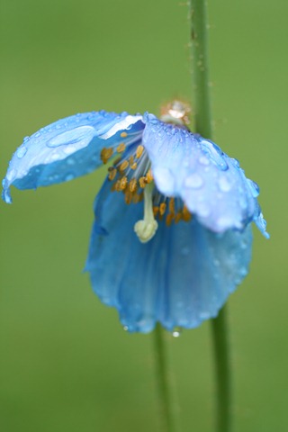 05May