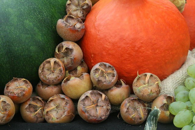 09 - September - Meddlars and squashes