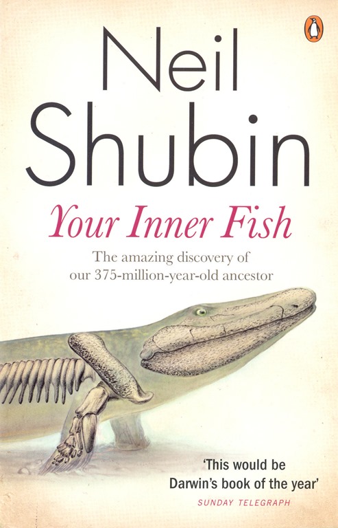 book-review-your-inner-fish-by-neil-shubin-somebeans