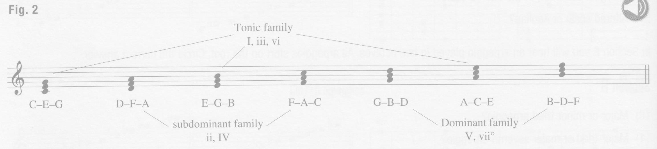 p88-figure-2-chord-families